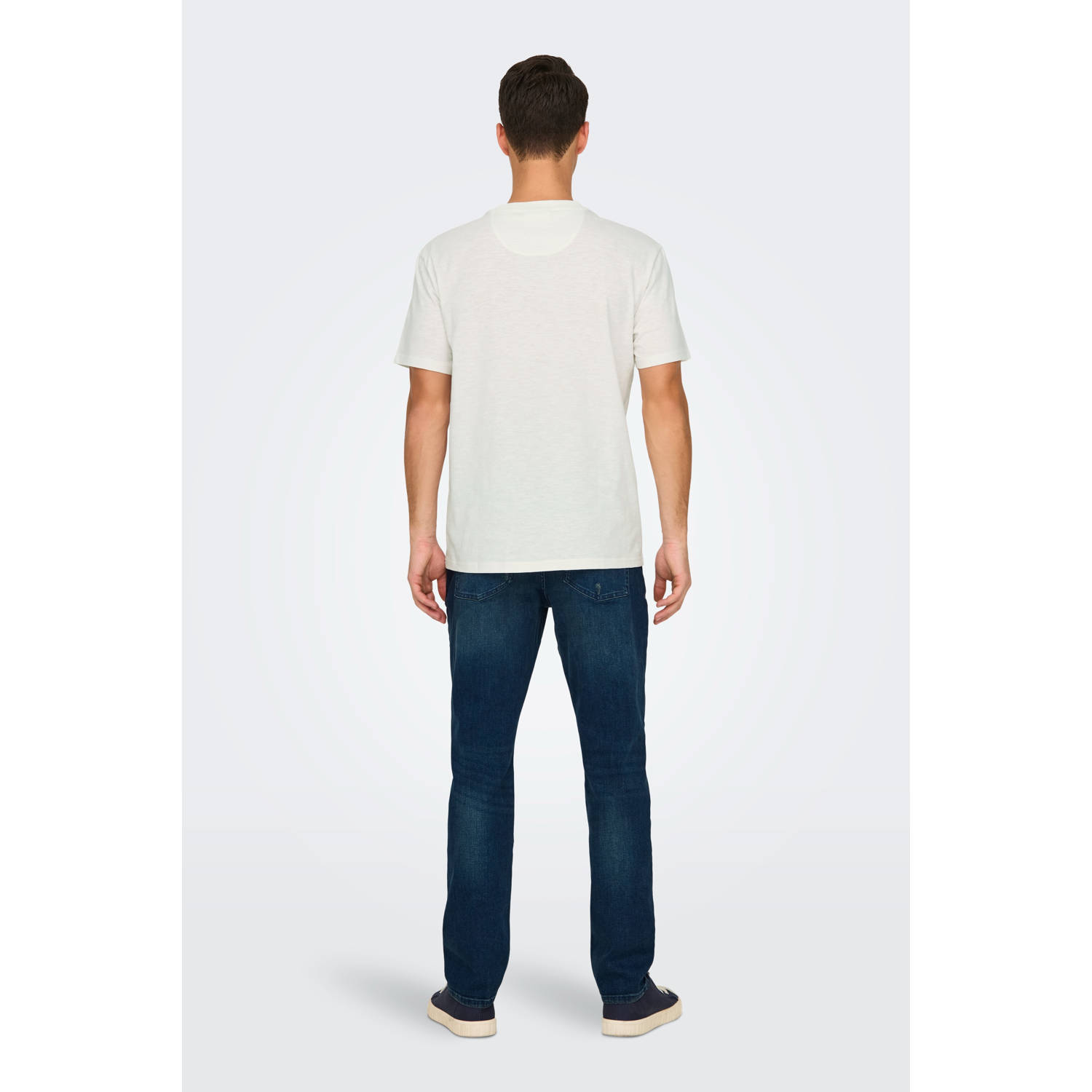 ONLY & SONS regular fit T-shirt ONSPERRY wit