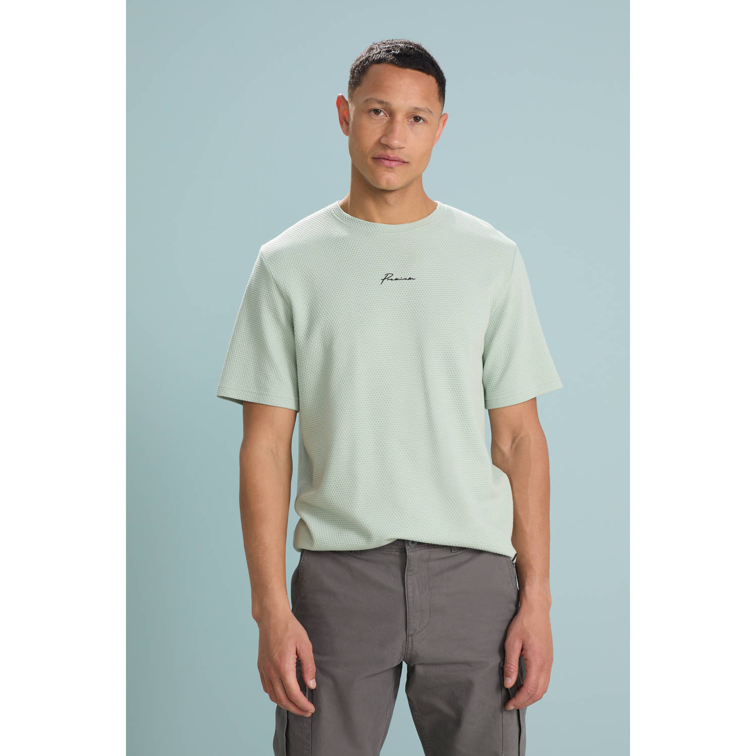 JACK & JONES PREMIUM T-shirt met textuur lichtgroen