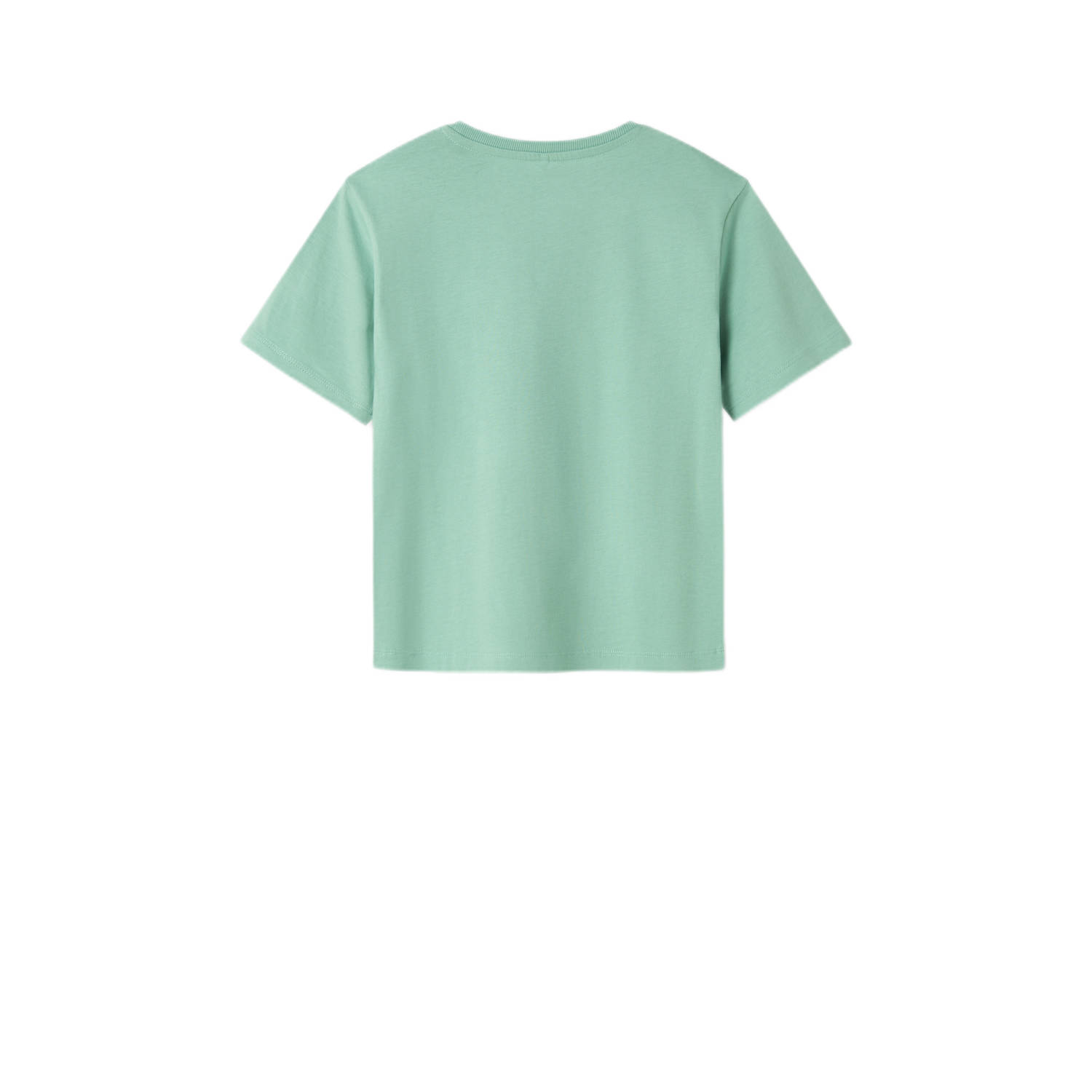 NAME IT KIDS T-shirt mintgroen