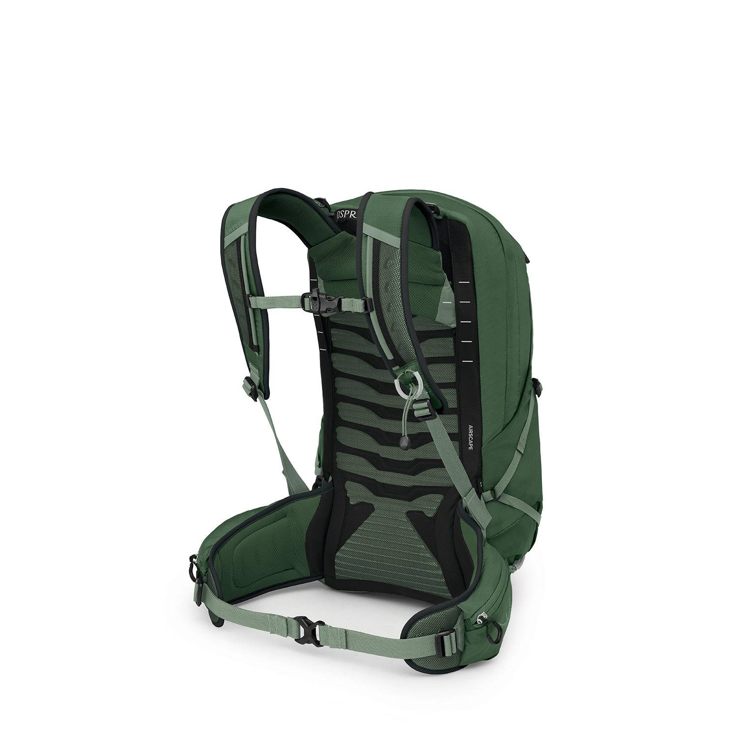 Osprey rugzak Talon 22L donkergroen