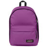 Fig purple