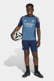 thumbnail: adidas Performance Junior Arsenal FC voetbalshirt Training