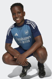 thumbnail: adidas Performance Junior Arsenal FC voetbalshirt Training