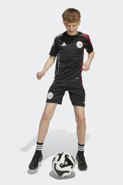 thumbnail: adidas Performance junior Ajax Amsterdam voetbalshirt zwart/rood