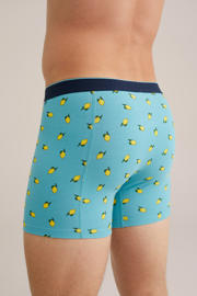 thumbnail: WE Fashion boxershort turquoise