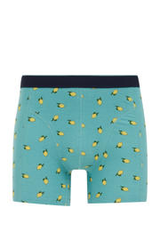 thumbnail: WE Fashion boxershort turquoise
