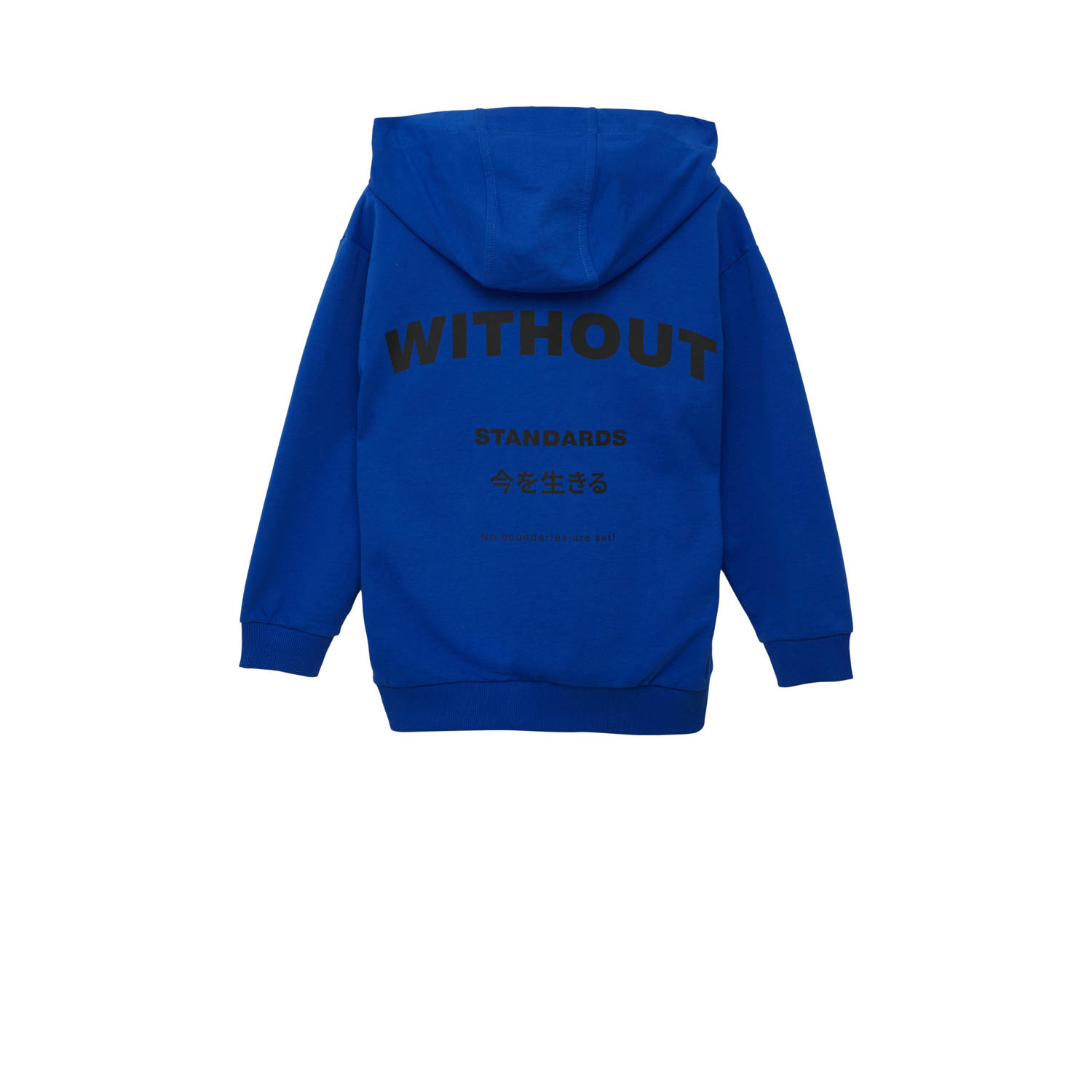 s.Oliver hoodie blauw