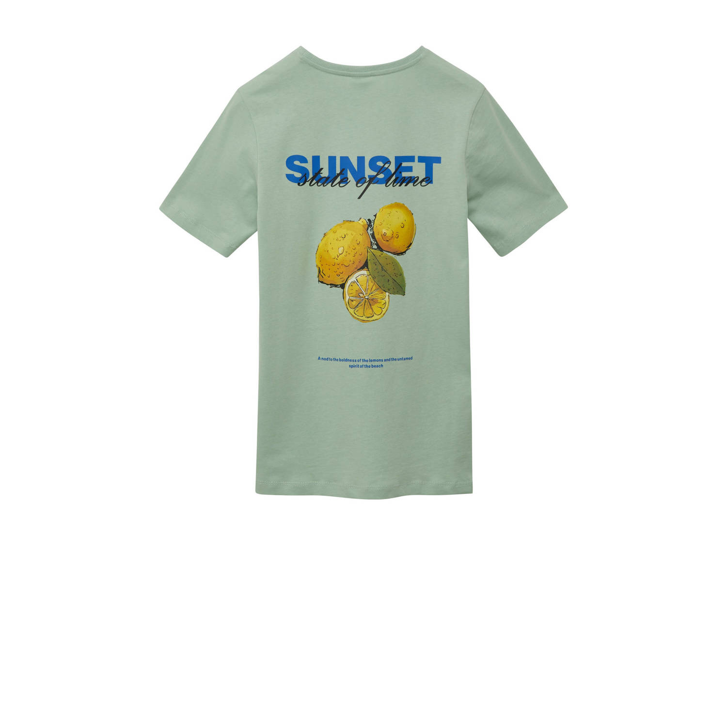 s.Oliver T-shirt groen