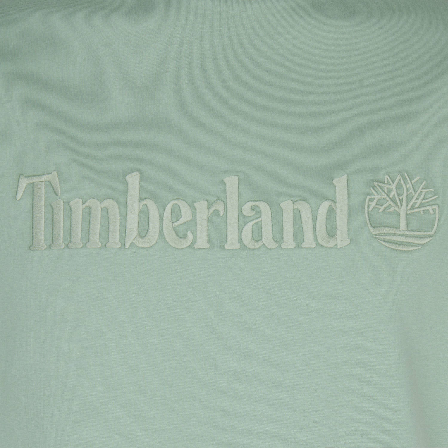 Timberland T-shirt lichtgroen