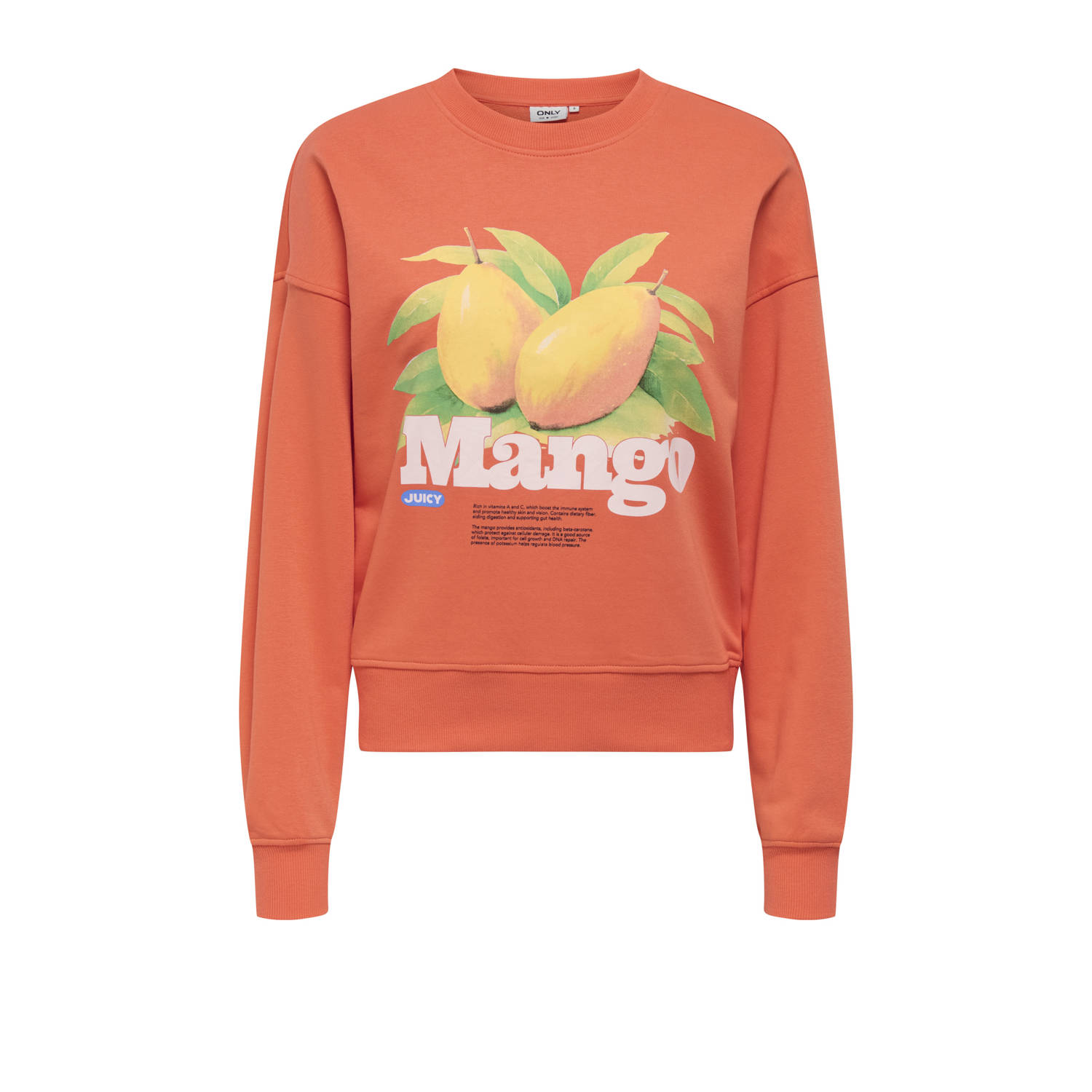 Only Philea Fruit Sweater Dames