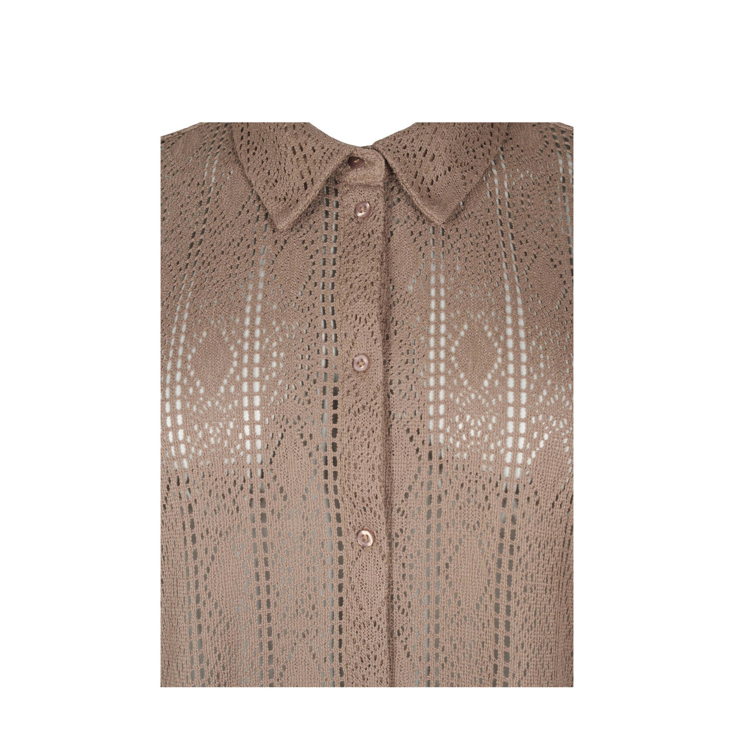Zizzi blouse bruin