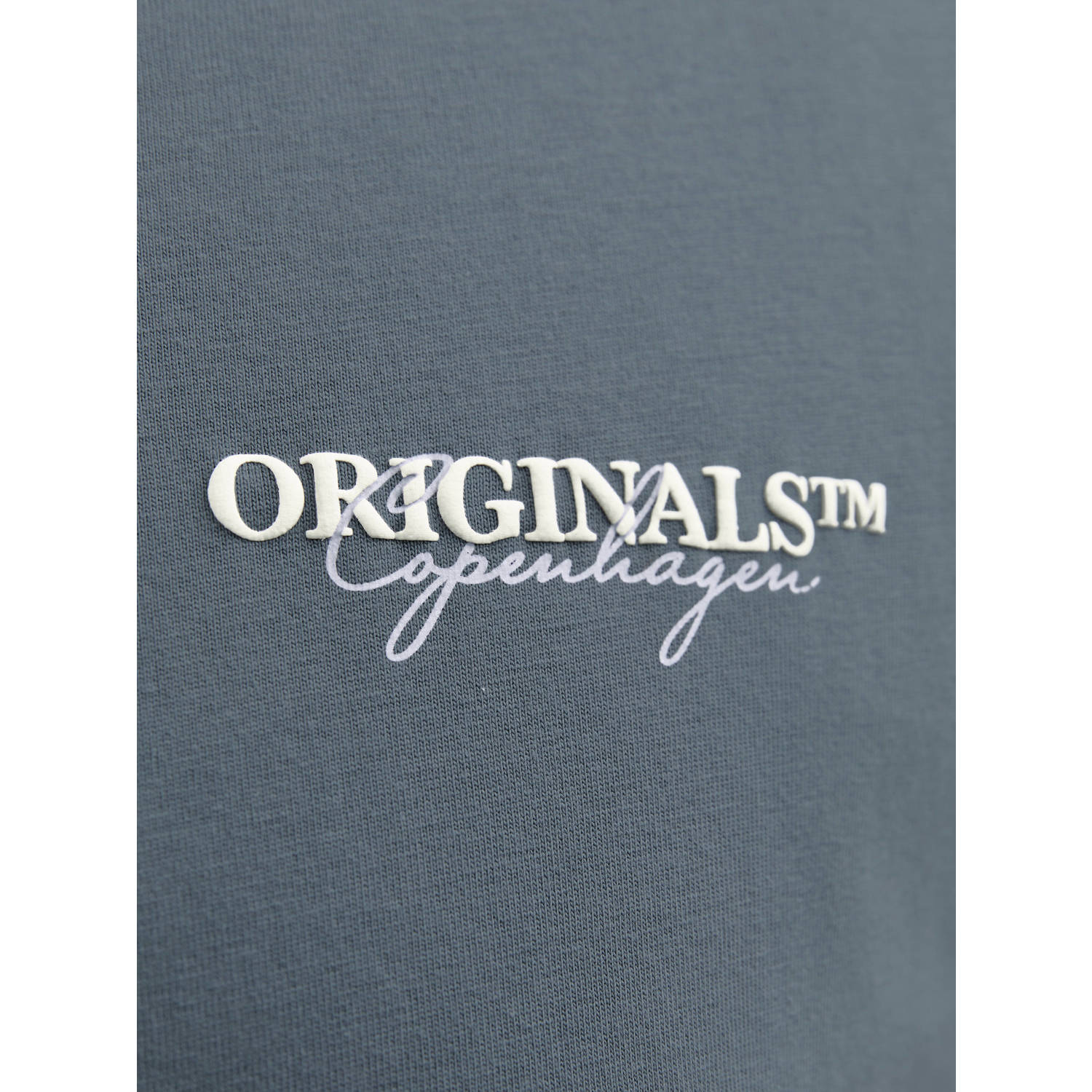JACK & JONES PLUS SIZE T-shirt grijsblauw