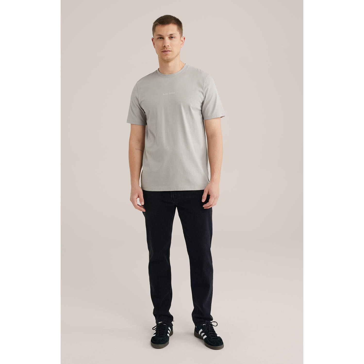 WE Fashion Blue Ridge T-shirt grijs