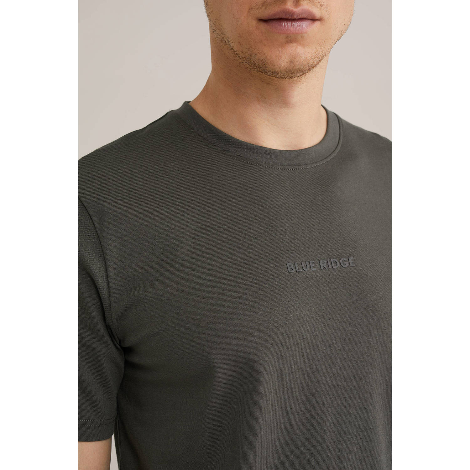 WE Fashion Blue Ridge T-shirt grijsgroen