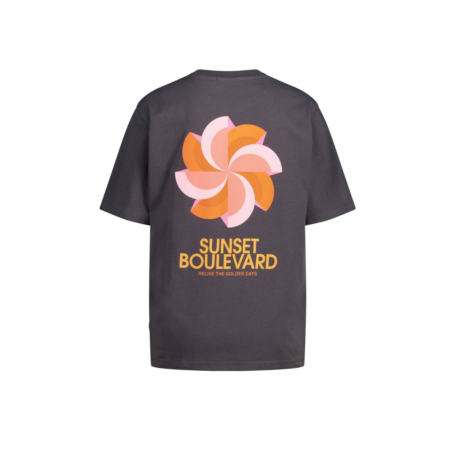 America Today T-shirt grijs
