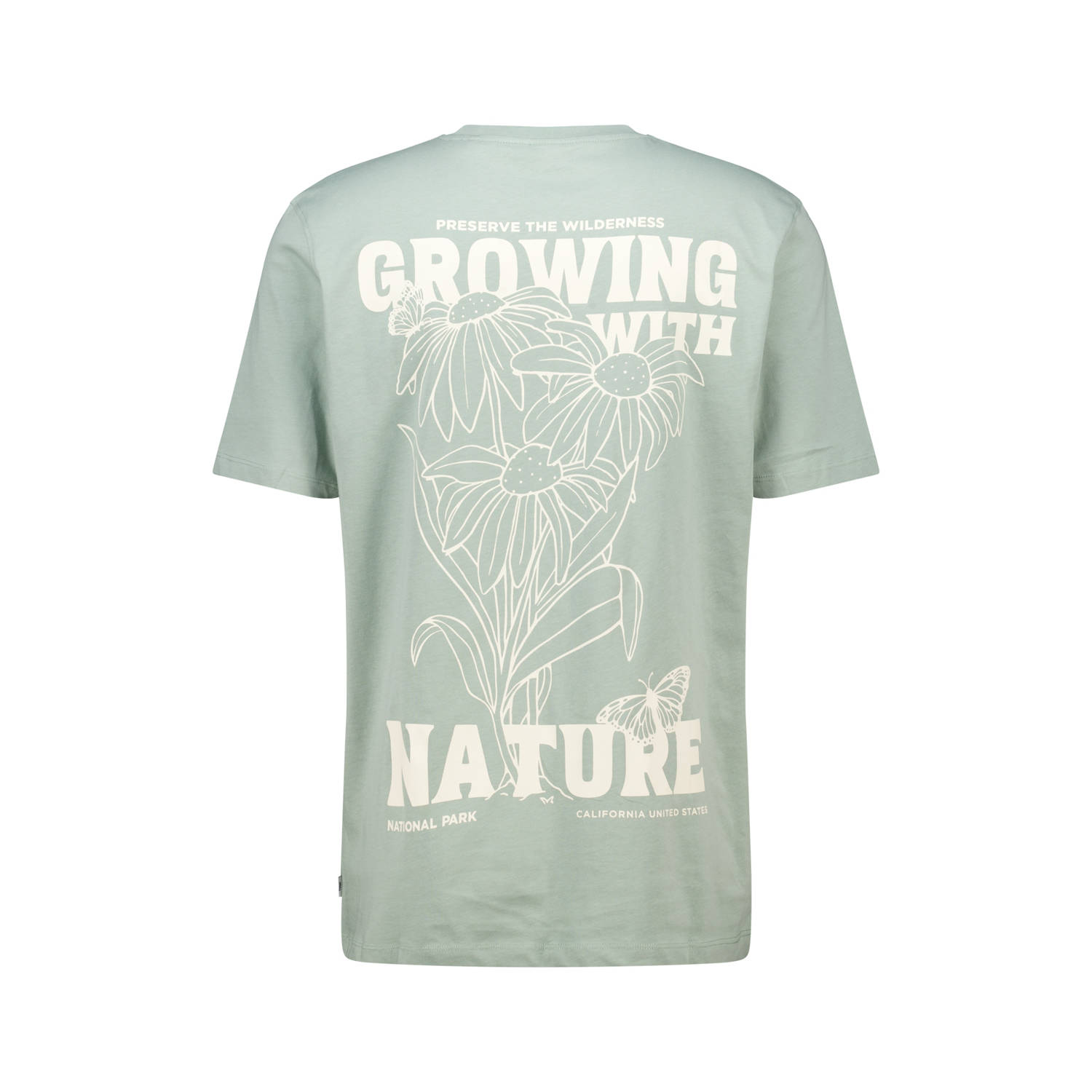 America Today regular T-shirt lichtgroen