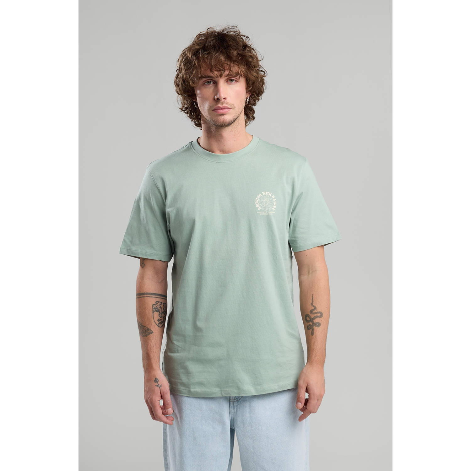 America Today regular T-shirt lichtgroen