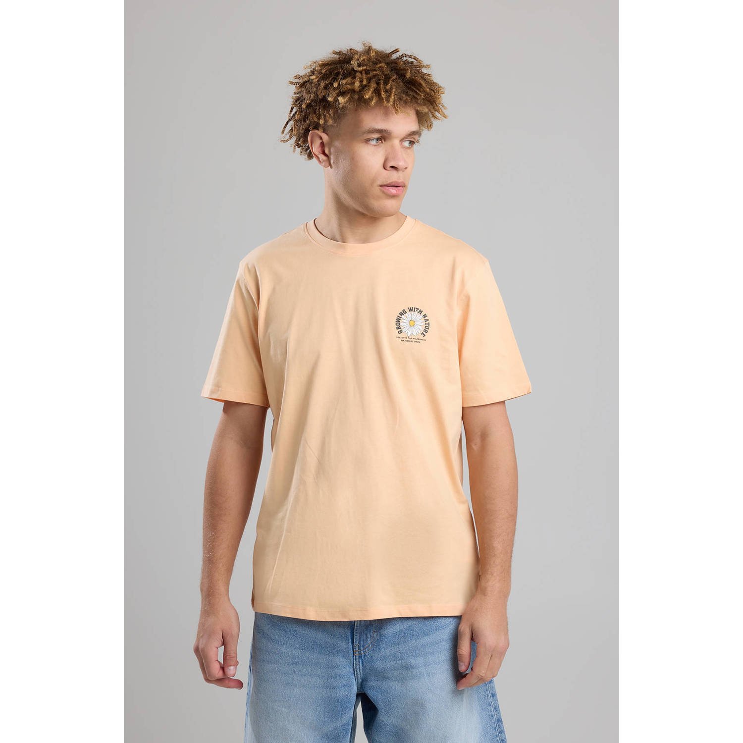 America Today regular T-shirt zalm