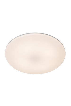 OLSON - Plafonnière - Ø 29 cm - LED Dimb. - CCT - 1x24W 3000K/6500K - Opaal