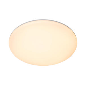 OLSON - Plafonnière - Ø 35 cm - LED Dimb. - CCT - 1x36W 3000K/6500K - Opaal