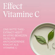 thumbnail: Weleda Wilde Rozen & Witte Thee Vitaliserende Nachtcreme
