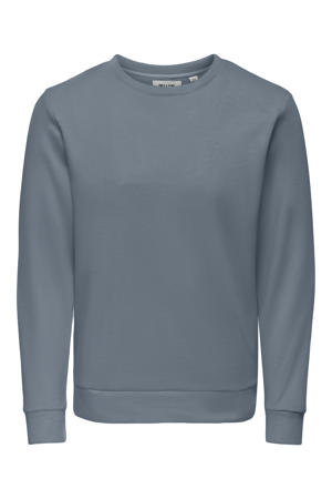 sweater grijsblauw