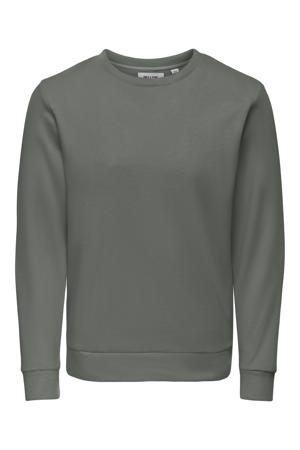 sweater grijs