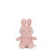 Little Dutch Nijntje knuffel 20cm pink flower