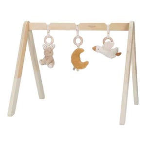 Babygym
