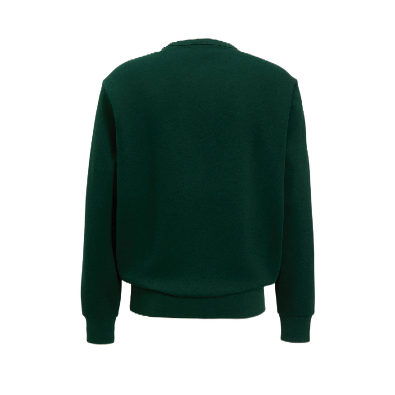 POLO Ralph Lauren sweater donkergroen