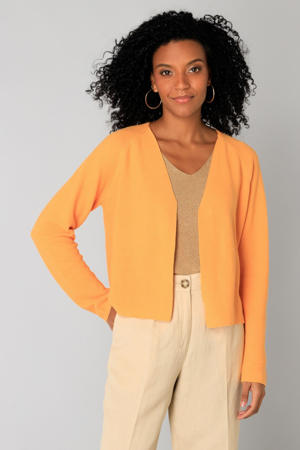 gebreid vest oranje