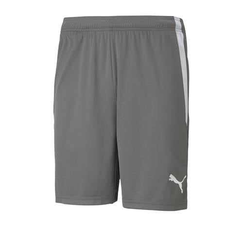Puma Senior sportshort teamLIGA frijs afbeelding