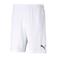 Puma sportshort teamRISE wit