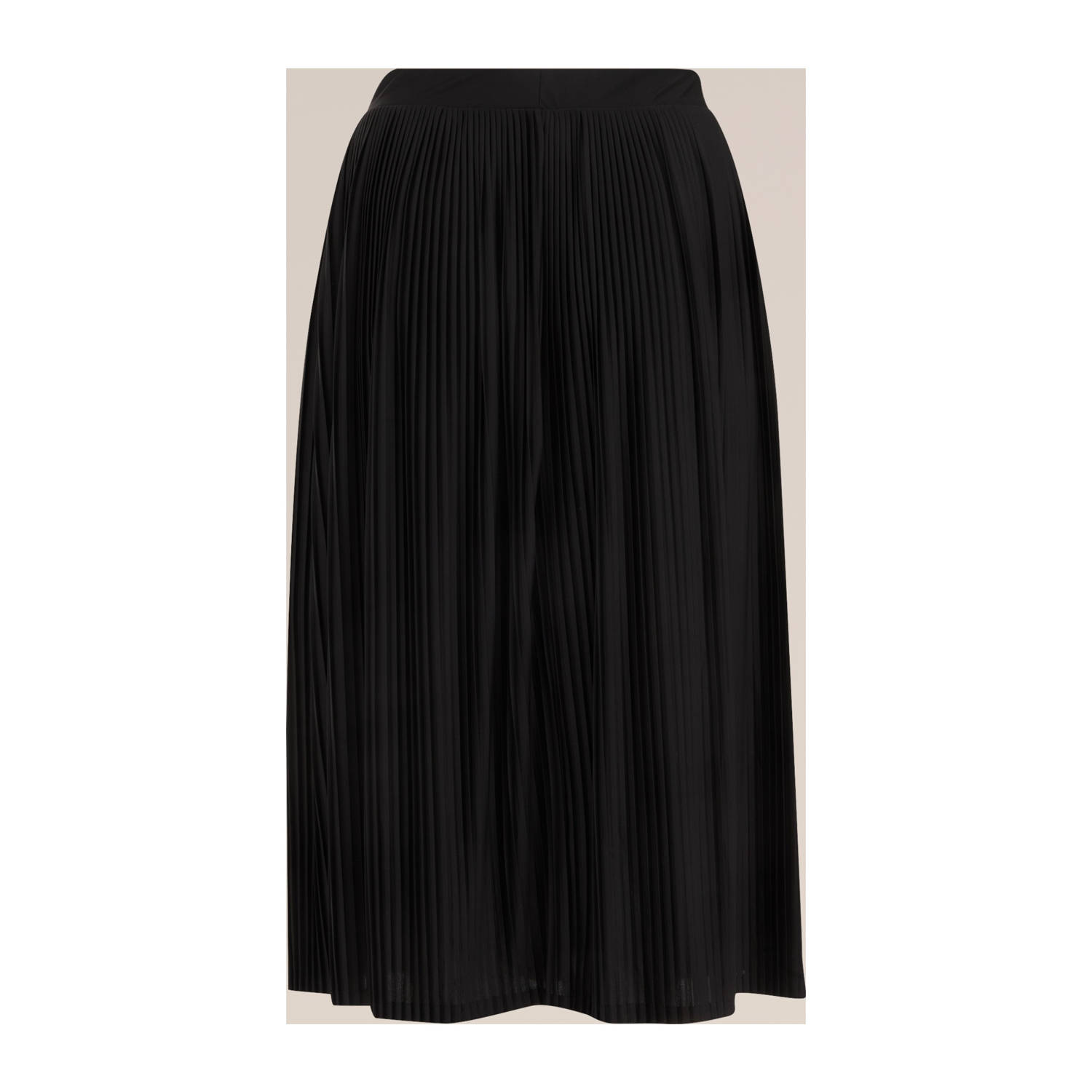 WE Fashion Curve A-lijn rok zwart