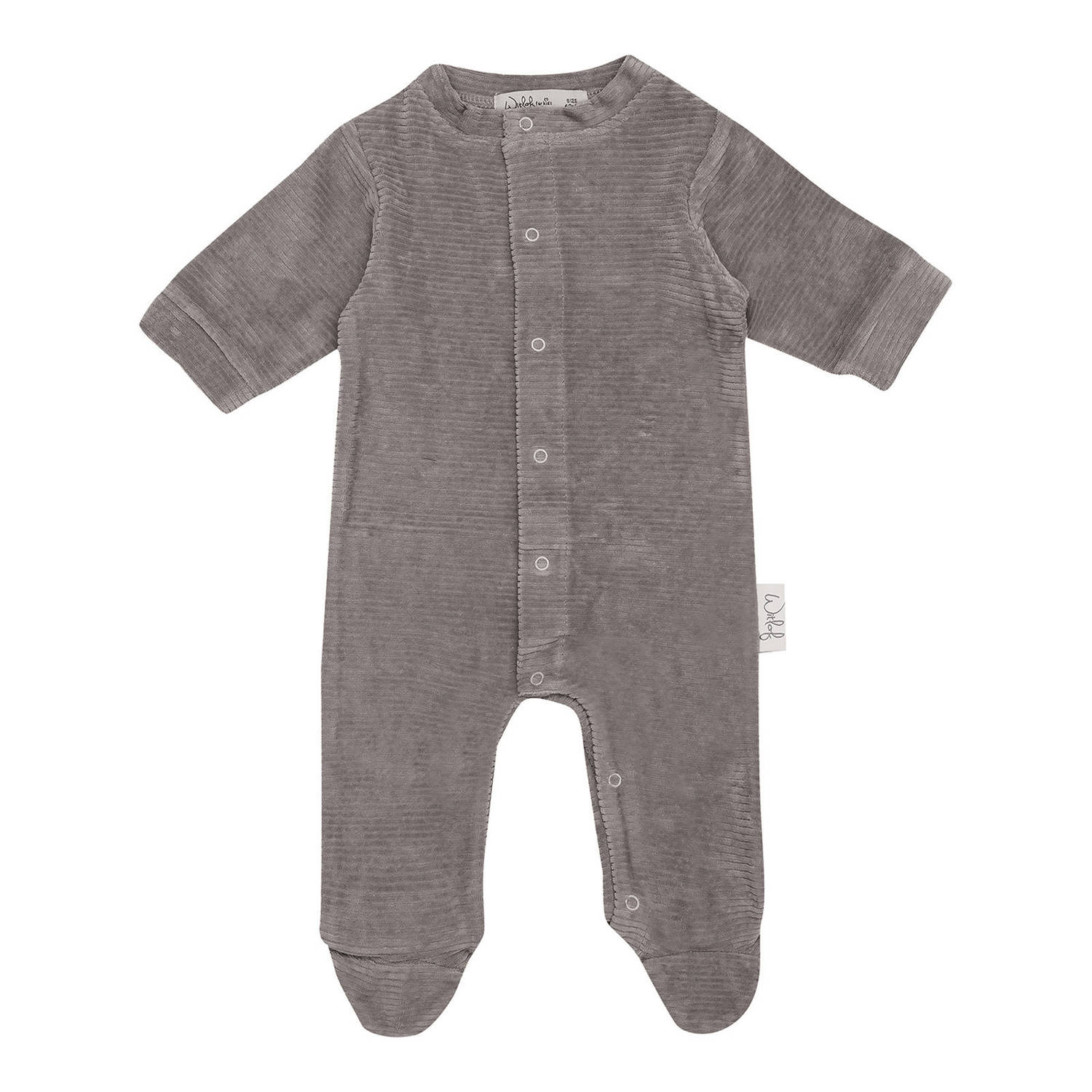 Witlof for kids boxpakje Warm Grey velvet rib
