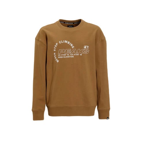 Me & My Monkey sweater met printopdruk bruin afbeelding