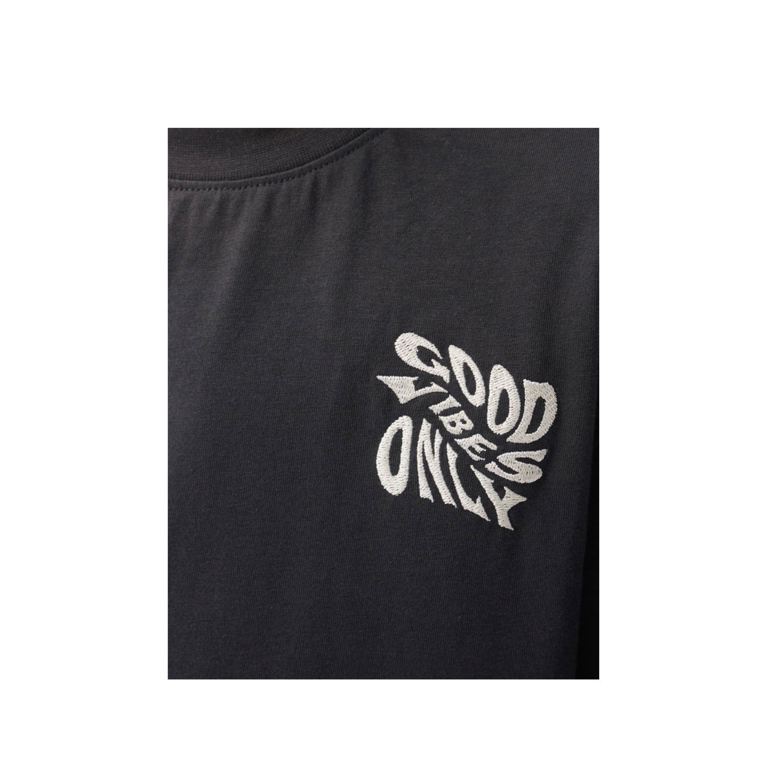 Shoeby T-shirt grijs