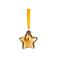 Pip Studio kerstornament ster (10cm)