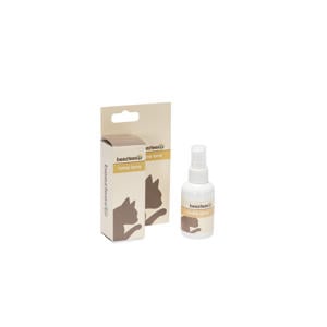 Catnip Spray - Kattenkruid - 50 ml