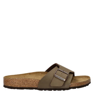 slippers bruin