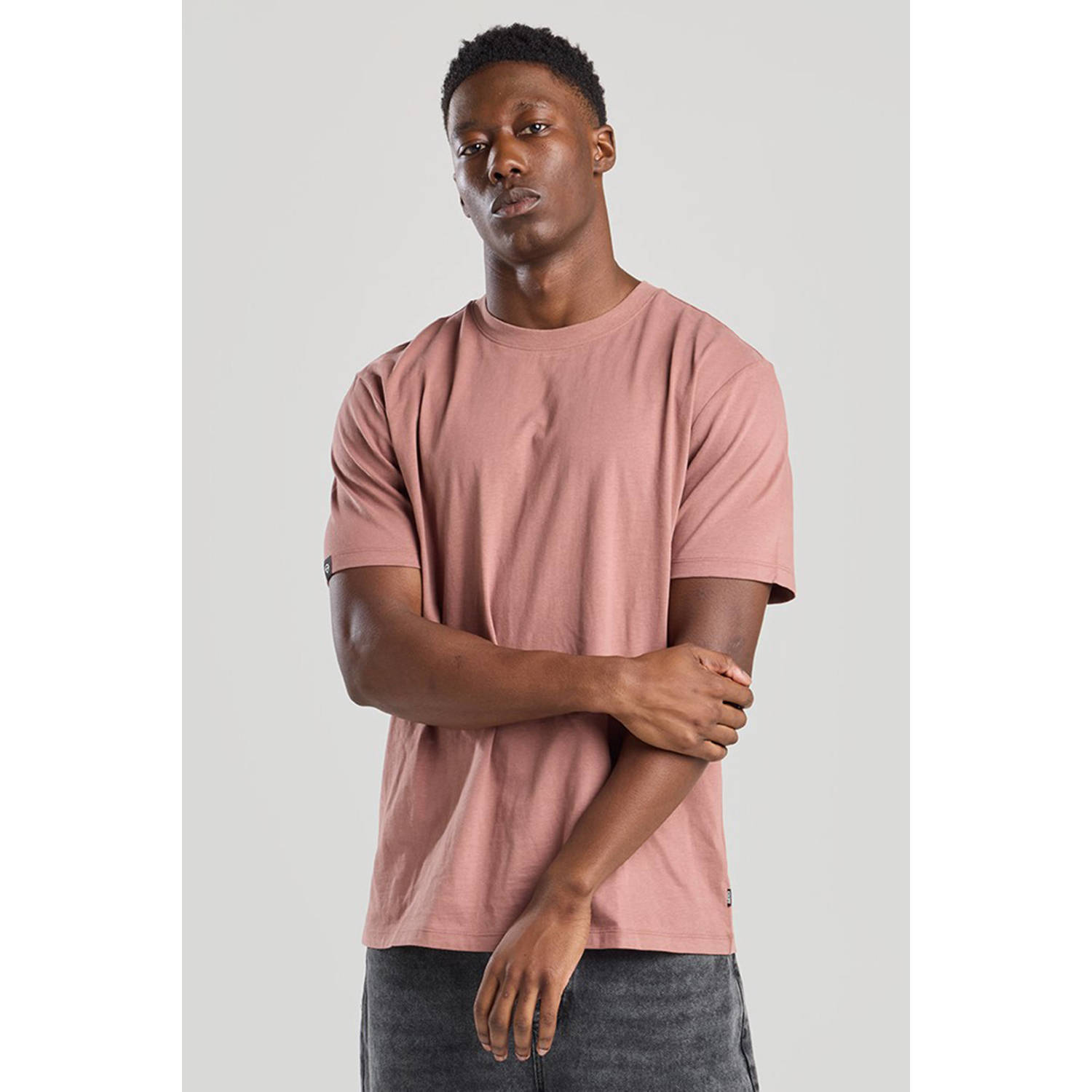 America Today T-shirt chestnut