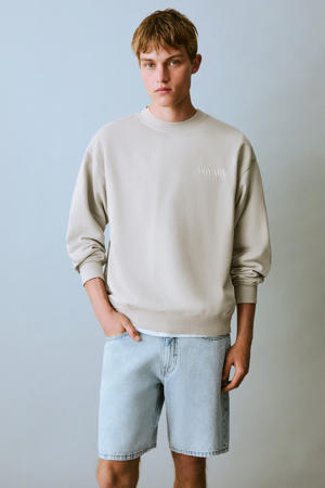 sweater lichtgrijs