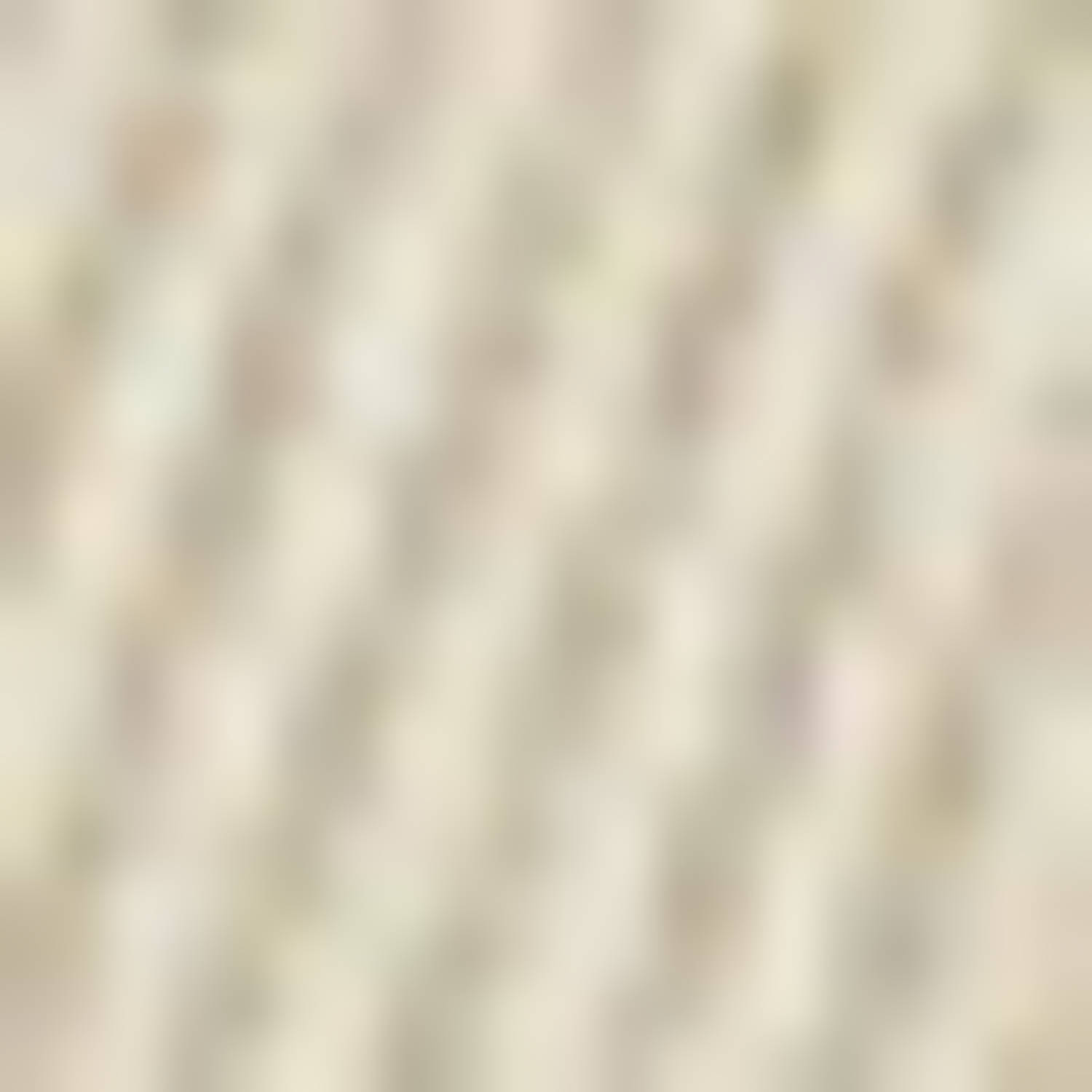 America Today relaxed casual short beige