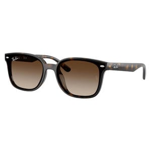 zonnebril met tortoise print 0RB4461D bruin