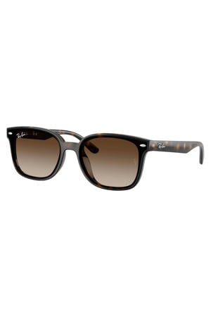 zonnebril met tortoise print 0RB4461D bruin