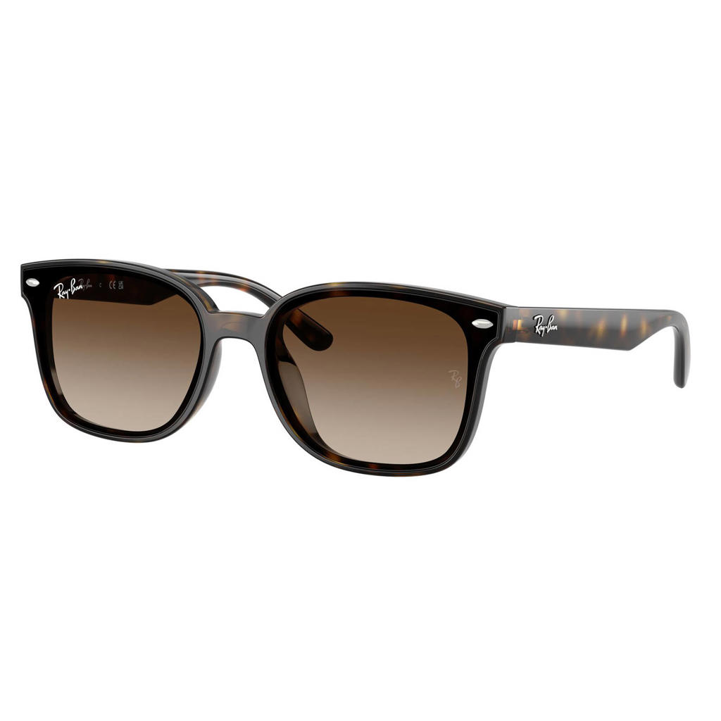 Ray-Ban zonnebril met tortoise print 0RB4461D bruin