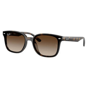 zonnebril met tortoise print 0RB4461D bruin
