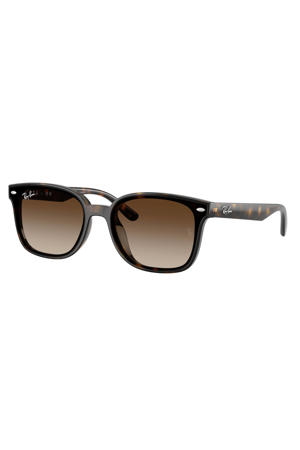 zonnebril met tortoise print 0RB4461D bruin