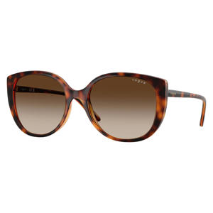 zonnebril met tortoise print 0VO5623S bruin