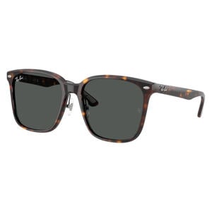 zonnebril met tortoise print 0RB2206D bruin